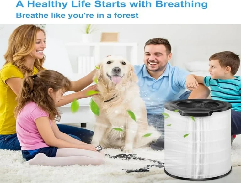 Air filter Replacement HEPA Filters Compatible with Philips Series 3000i-1