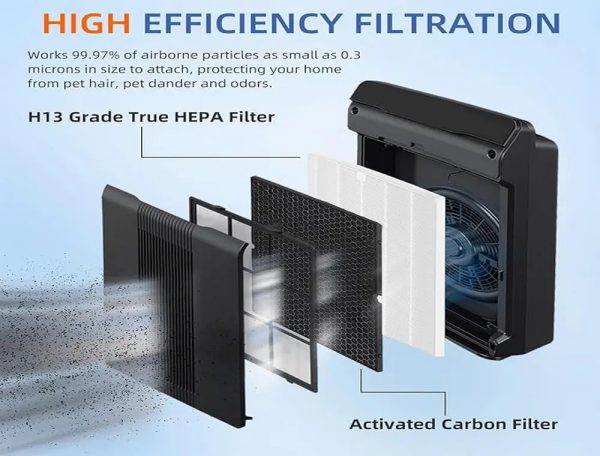 Hepa filter compatible with Winix C555 (1)