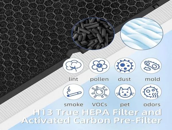 Hepa filter compatible with Winix C555 (1)