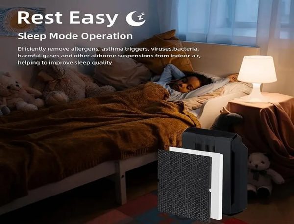 Hepa filter compatible with Winix C555 (1)