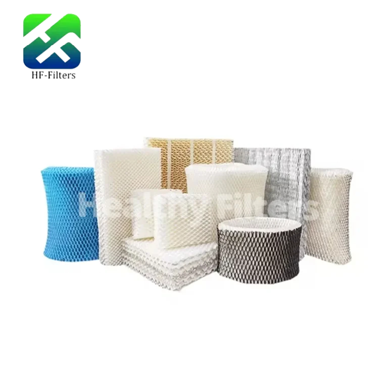 Should You Use Humidifier Filter for Regions with Dry Air