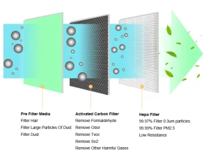 Enhance Home Air Quality