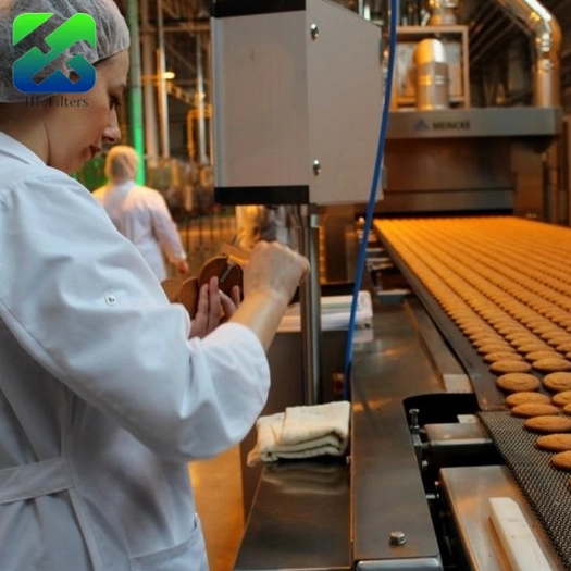 Which Filter Material is the Most Effective for Removing Odors in Food Plants