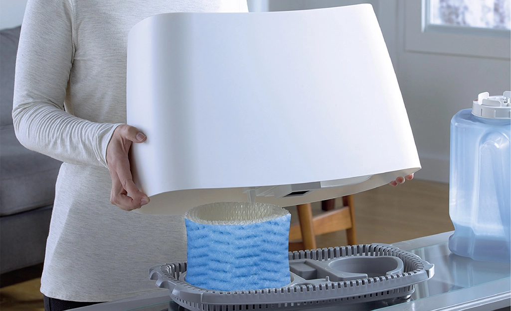 clean a humidifier filter