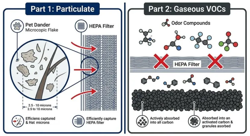 Diagram comparing HEPA particulate filtration and activated carbon gaseous absorption
